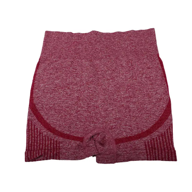 Women’s High Waist Yoga Shorts, Workout & Running Fitness Shorts
