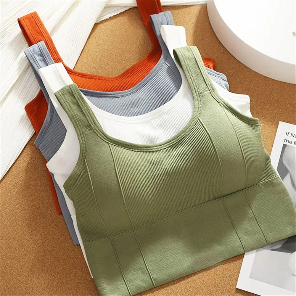 Seamless Sports Bra , Breathable, Anti-Sweat, Push Up Yoga & Workout Top