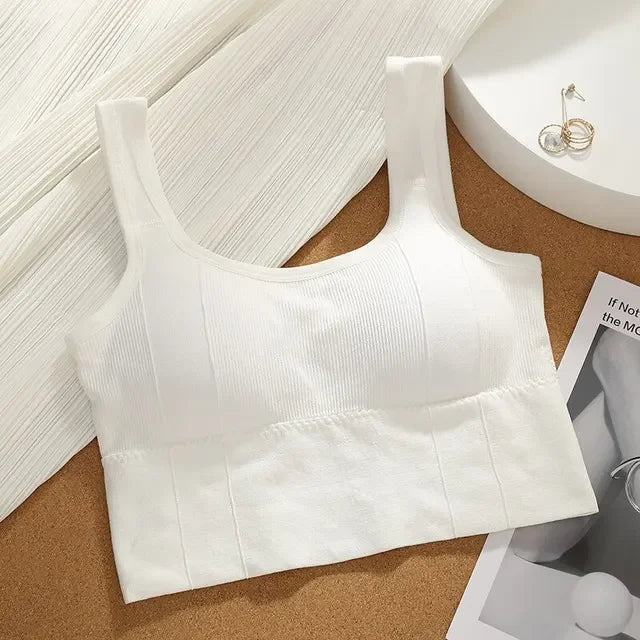 Seamless Sports Bra , Breathable, Anti-Sweat, Push Up Yoga & Workout Top
