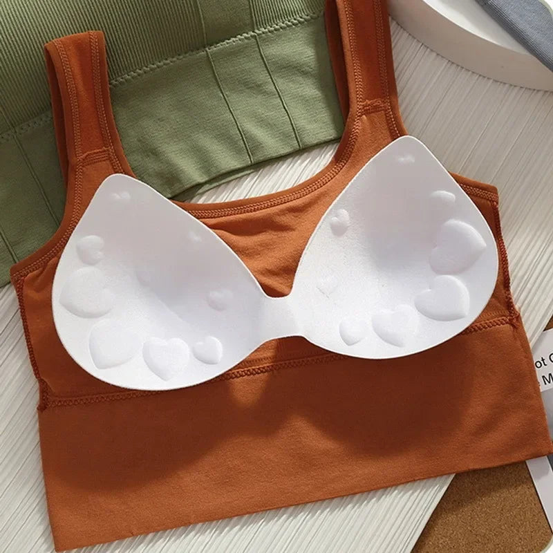 Seamless Sports Bra , Breathable, Anti-Sweat, Push Up Yoga & Workout Top